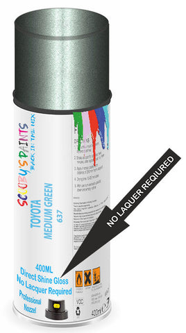 paint for Toyota Avalon