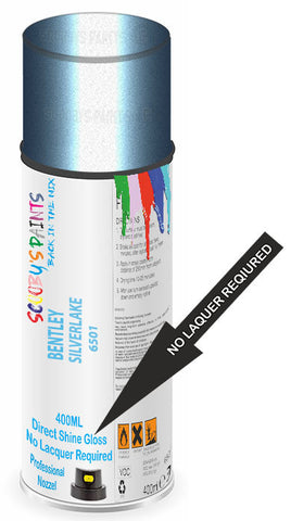 paint for Bentley Mulsanne