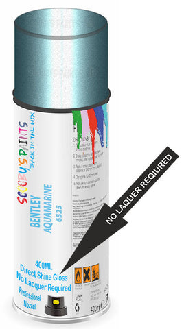 paint for Bentley Arnage