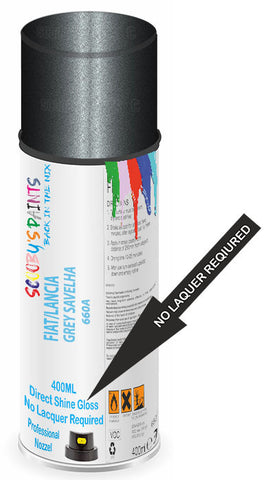 paint for FIAT/LANCIA STILO