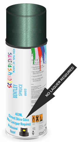 paint for Bentley Arnage