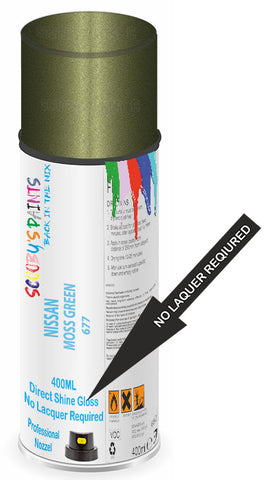 paint for Nissan Primastar