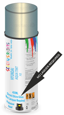 paint for Hyundai Getz