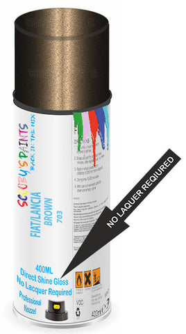 paint for Fiat 500