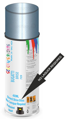 paint for BUGATTI 