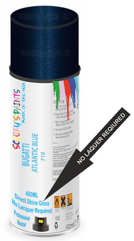 paint for BUGATTI 