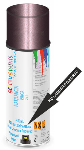 paint for Fiat 500 Diesel
