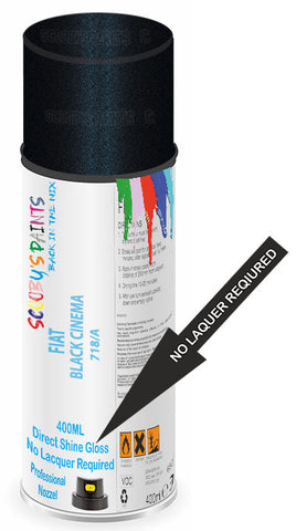 paint for FIAT/LANCIA VIAGGIO