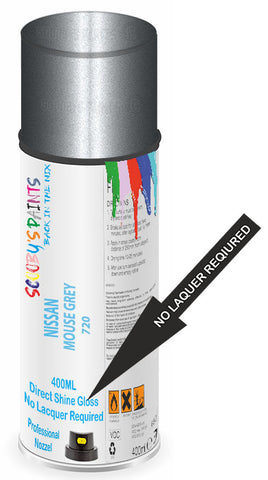 paint for Nissan 810