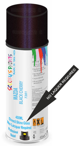 paint for Mazda 6