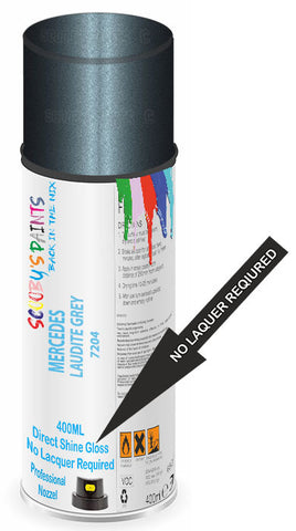paint for Mercedes Clk