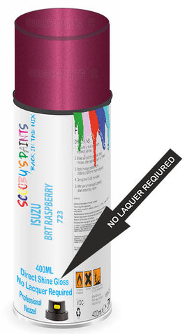 paint for Isuzu Amigo