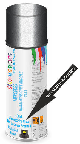 paint for Mercedes S-Class Coupe