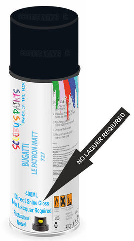 paint for BUGATTI 