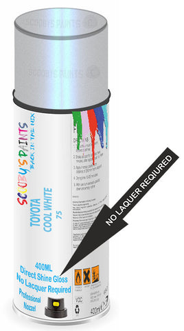paint for Toyota Blade