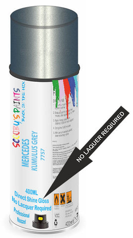 paint for MERCEDES VIANO