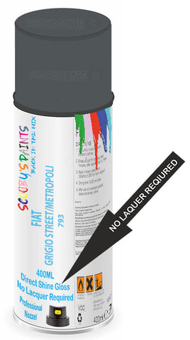 paint for Fiat 500 F