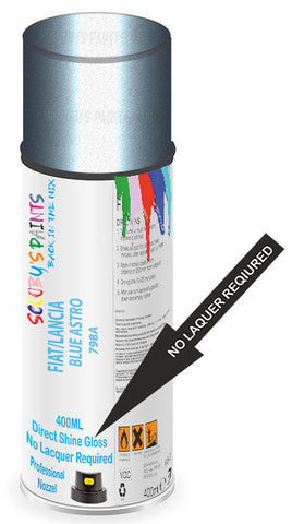 paint for Fiat Ducato