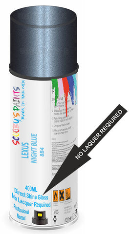 paint for Lexus Rx300