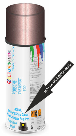 paint for Porsche 911