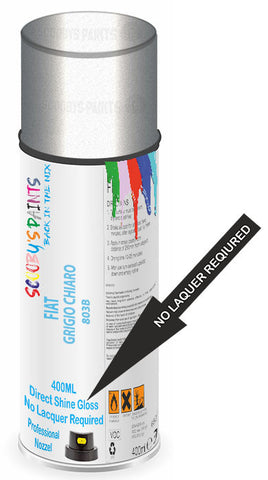 paint for FIAT scudo van