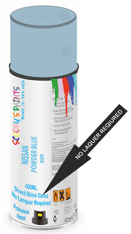 paint for Nissan 510