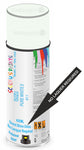paint for Isuzu I-Mark