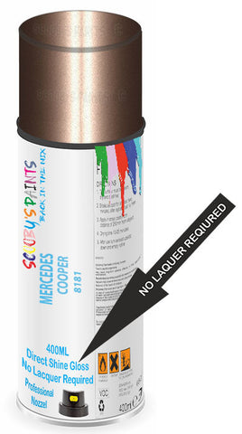 paint for Mercedes Vito