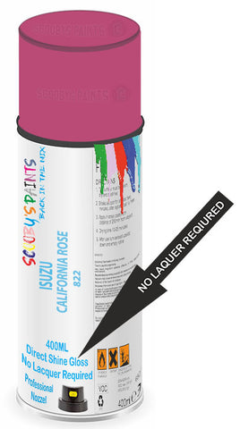 paint for Isuzu Coupe
