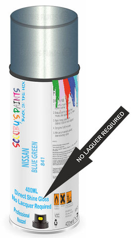 paint for Nissan 810