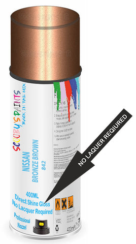 paint for Nissan 810
