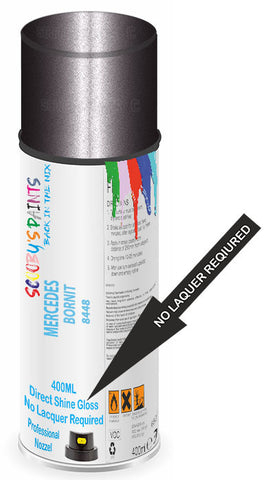paint for Mercedes 250 Sl
