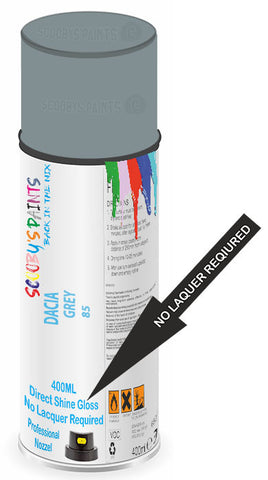 paint for DACIA LOGAN