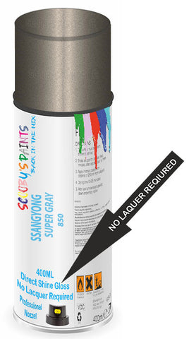 paint for SSANGYONG 