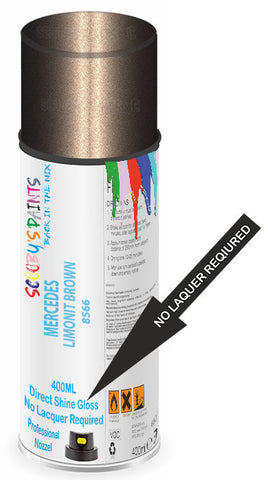 paint for Mercedes Citan