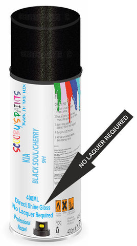 paint for Kia Soul Ev