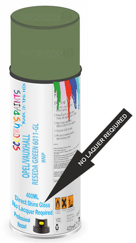 paint for VAUXHALL 