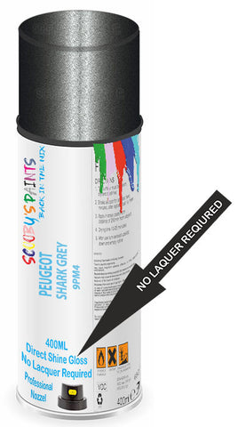 paint for Peugeot 207 Sw
