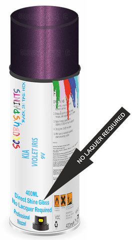 paint for Kia Rondo
