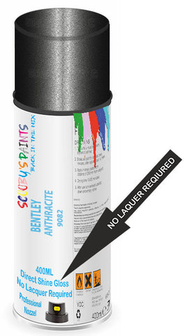 paint for Bentley Arnage