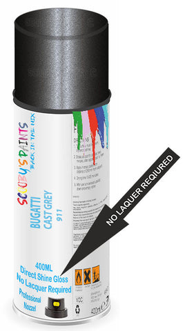 paint for BUGATTI 