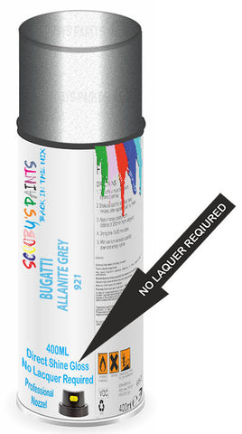 paint for BUGATTI 