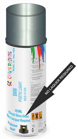 paint for BMW X5