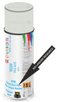 paint for NISSAN 810