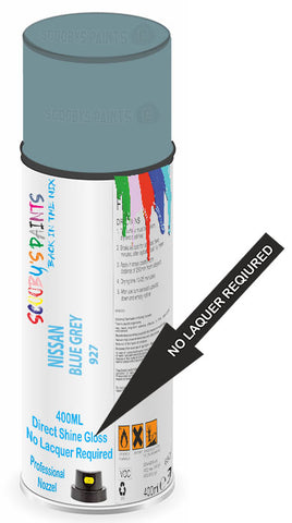 paint for Nissan Stanza