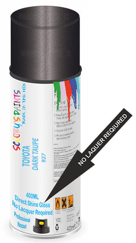 paint for Toyota Avalon