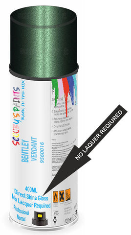 paint for Bentley Continental Gtc