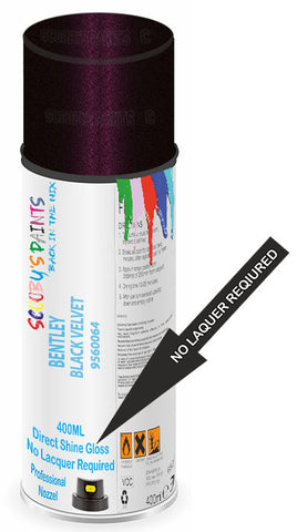 paint for Bentley Arnage