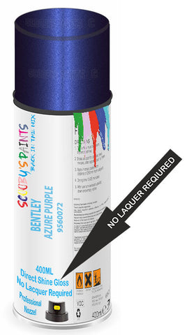 paint for Bentley Arnage