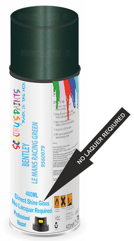 paint for Bentley Continental